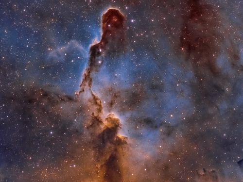 ic 1396 elephant's trunk nebula