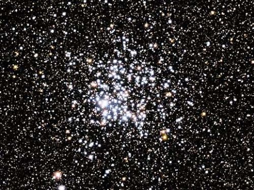 M11 open cluster